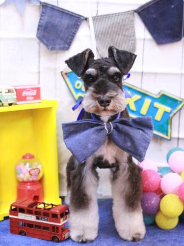 20230429ココくん